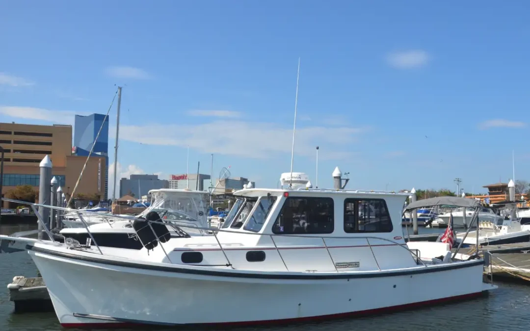 Two New Ways to Explore by Water