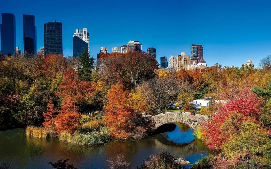 Best Late-Summer and Early-Fall Boat Trips Near NYC